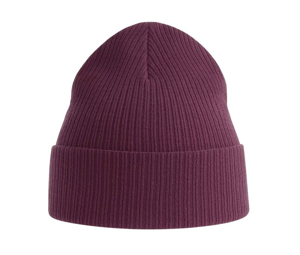 ATLANTIS HEADWEAR AT230 - Organic cotton beanie