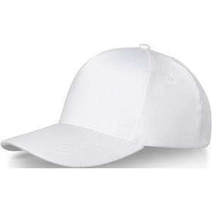 Elevate Life 38677 - Doyle 5 panel cap